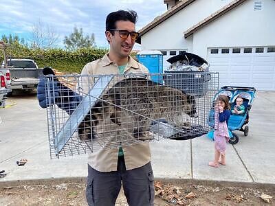 Arlington pest control